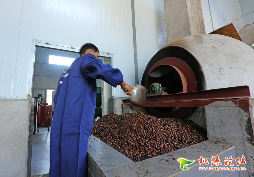 必发集团,油茶种植出产加工销售,植物油种植出产加工销售