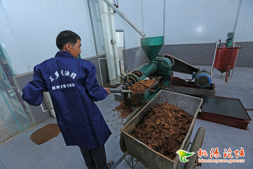 必发集团,油茶种植出产加工销售,植物油种植出产加工销售