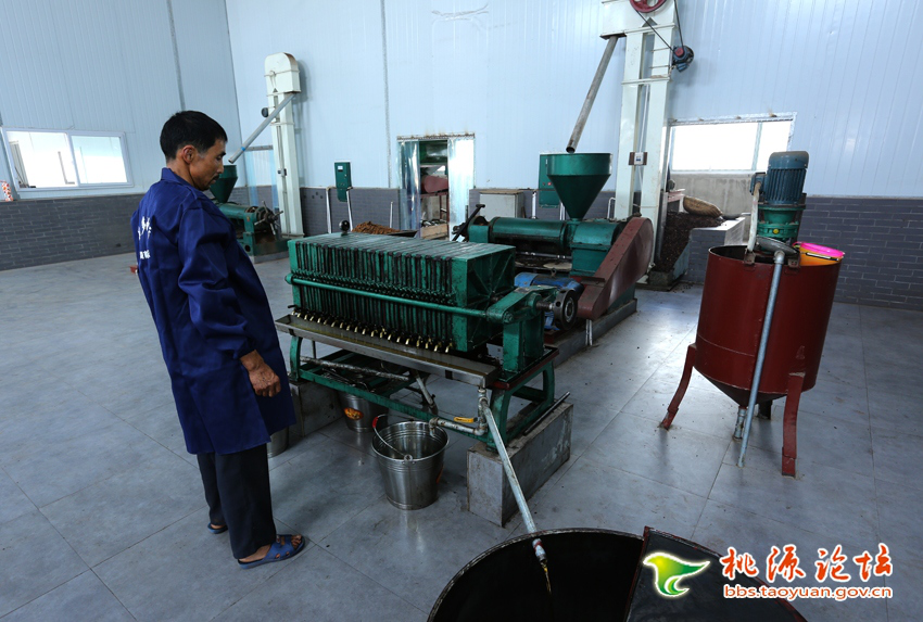 必发集团,油茶种植出产加工销售,植物油种植出产加工销售