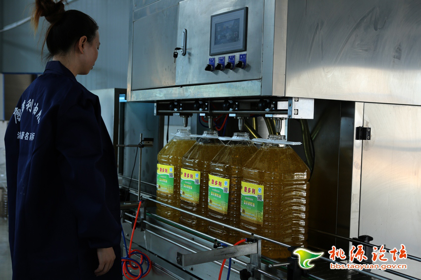 必发集团,油茶种植出产加工销售,植物油种植出产加工销售
