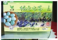必发集团,油茶种植出产加工销售,植物油种植出产加工销售